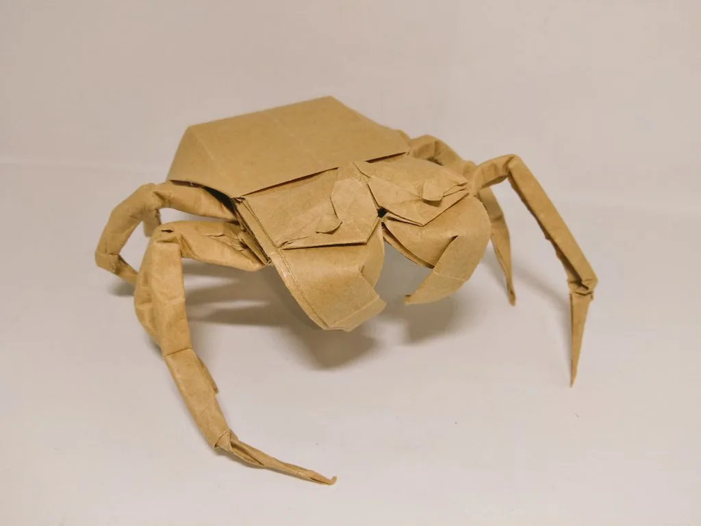 Spider