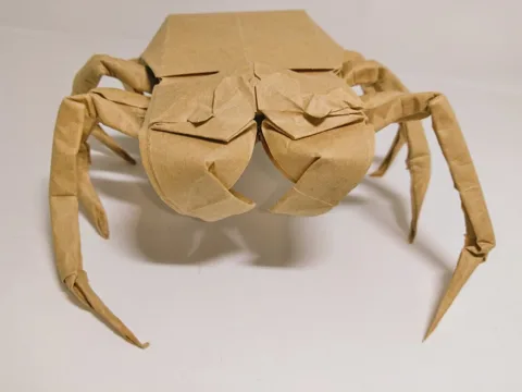 Spider