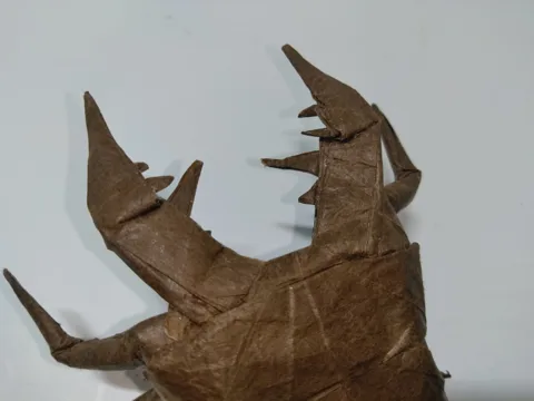 Stag beetle