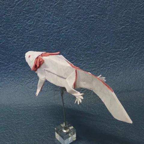 Axolotl