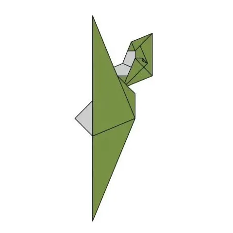 Kamuysaurus — паттерн