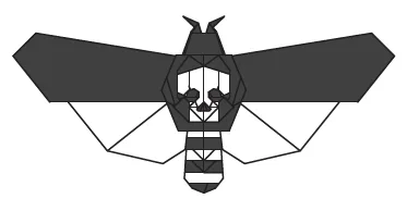 Greater Death's head hawkmoth