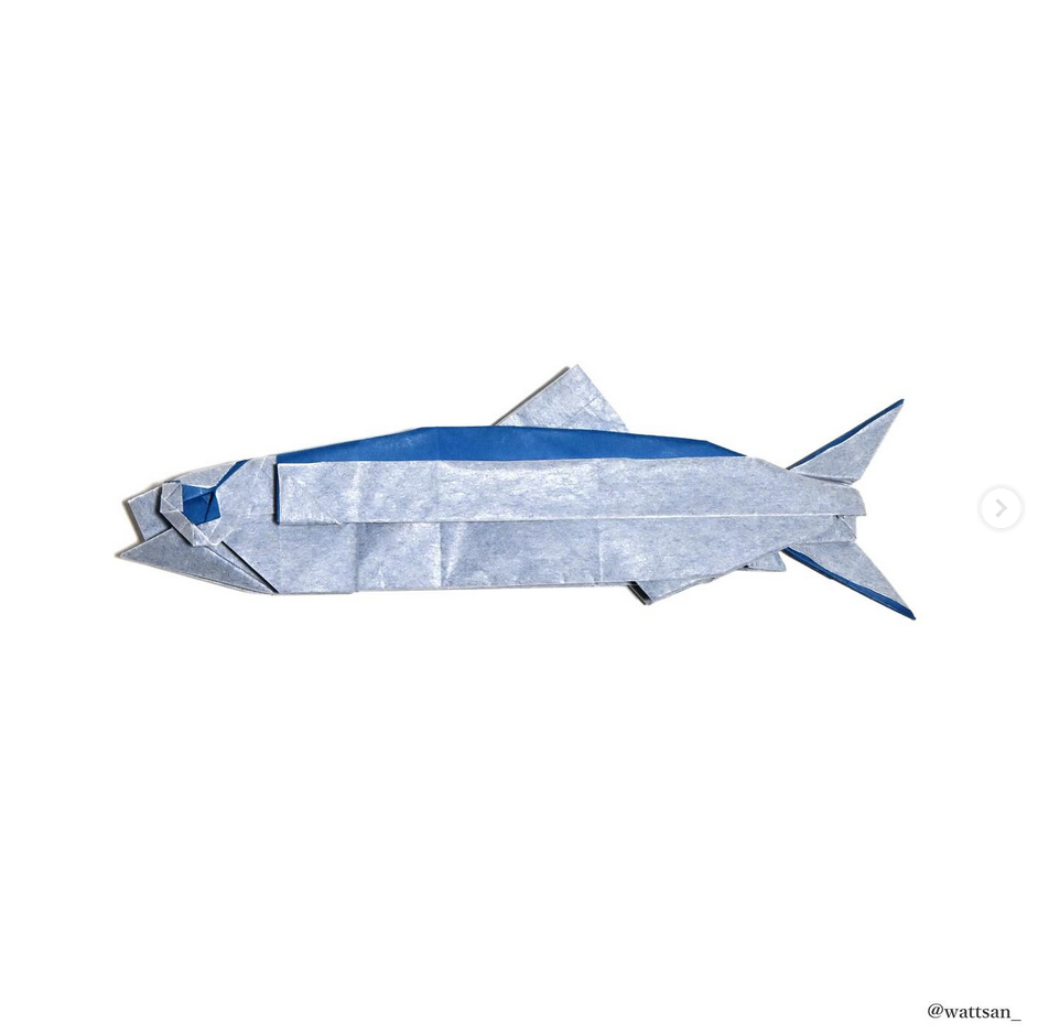 Sardine