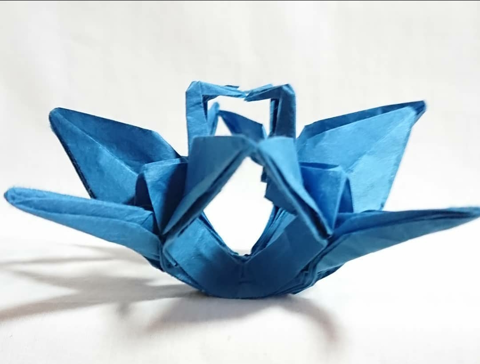 4 cranes in circle
