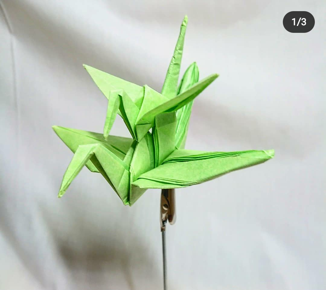 Crane on a crane