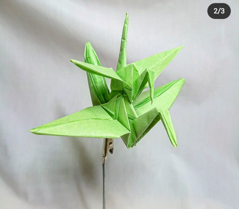 Crane on a crane