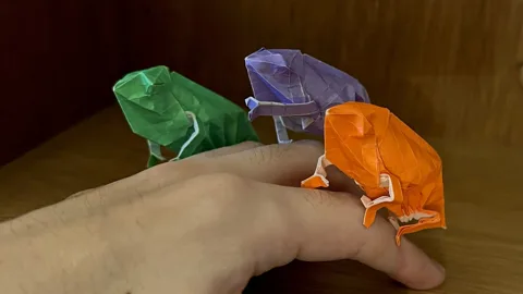 Chameleon␠