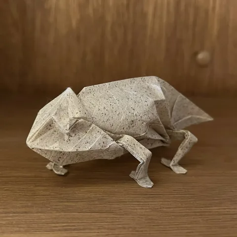 Chameleon␠