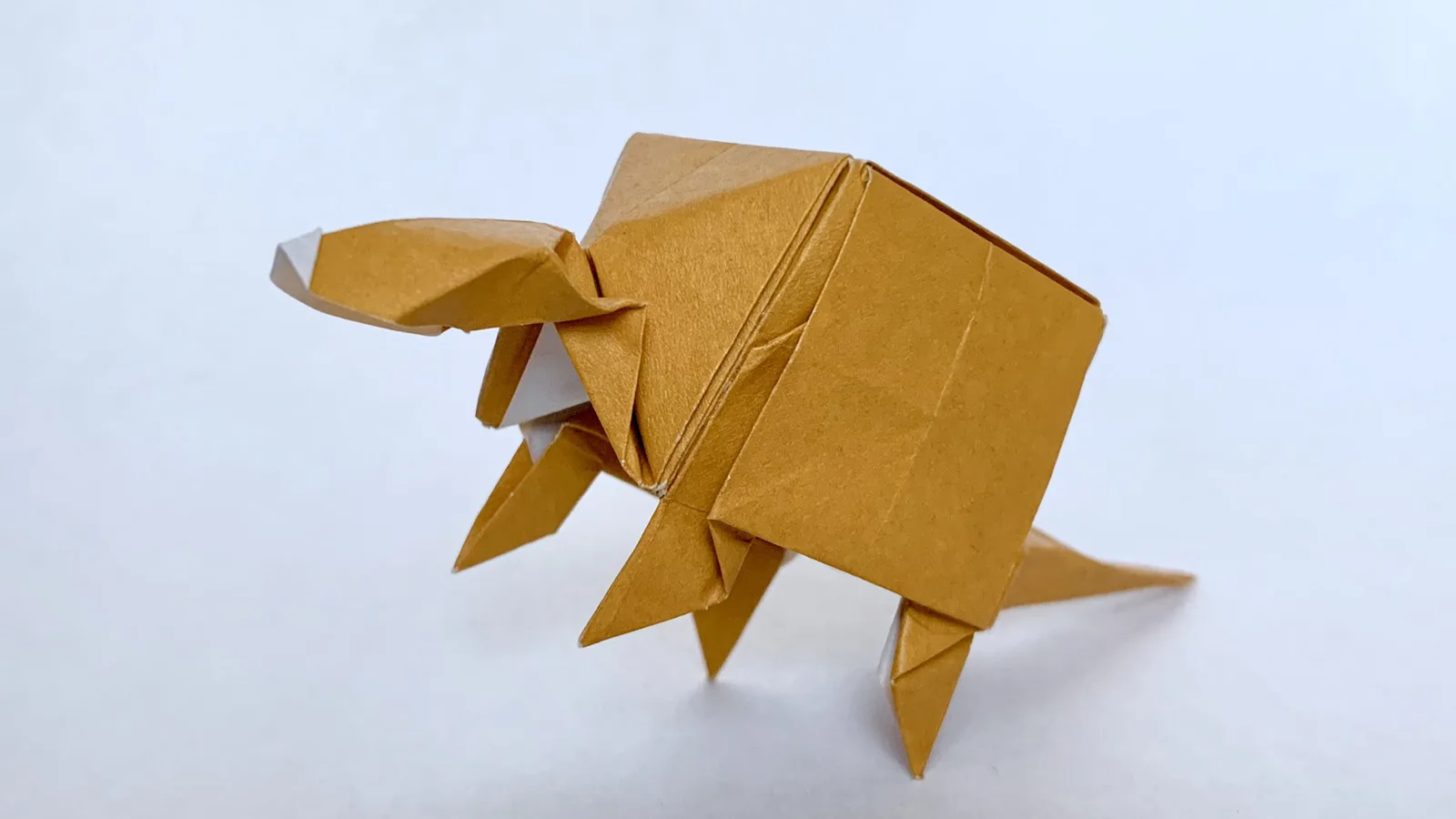 Cube Armadillo␠