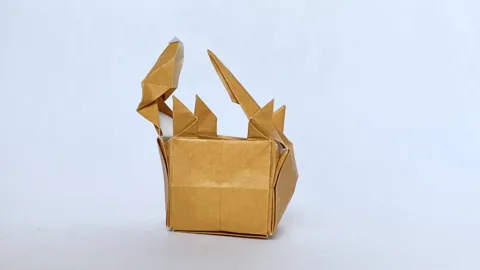 Cube Armadillo␠