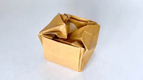 Cube Armadillo␠
