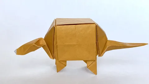 Cube Armadillo␠