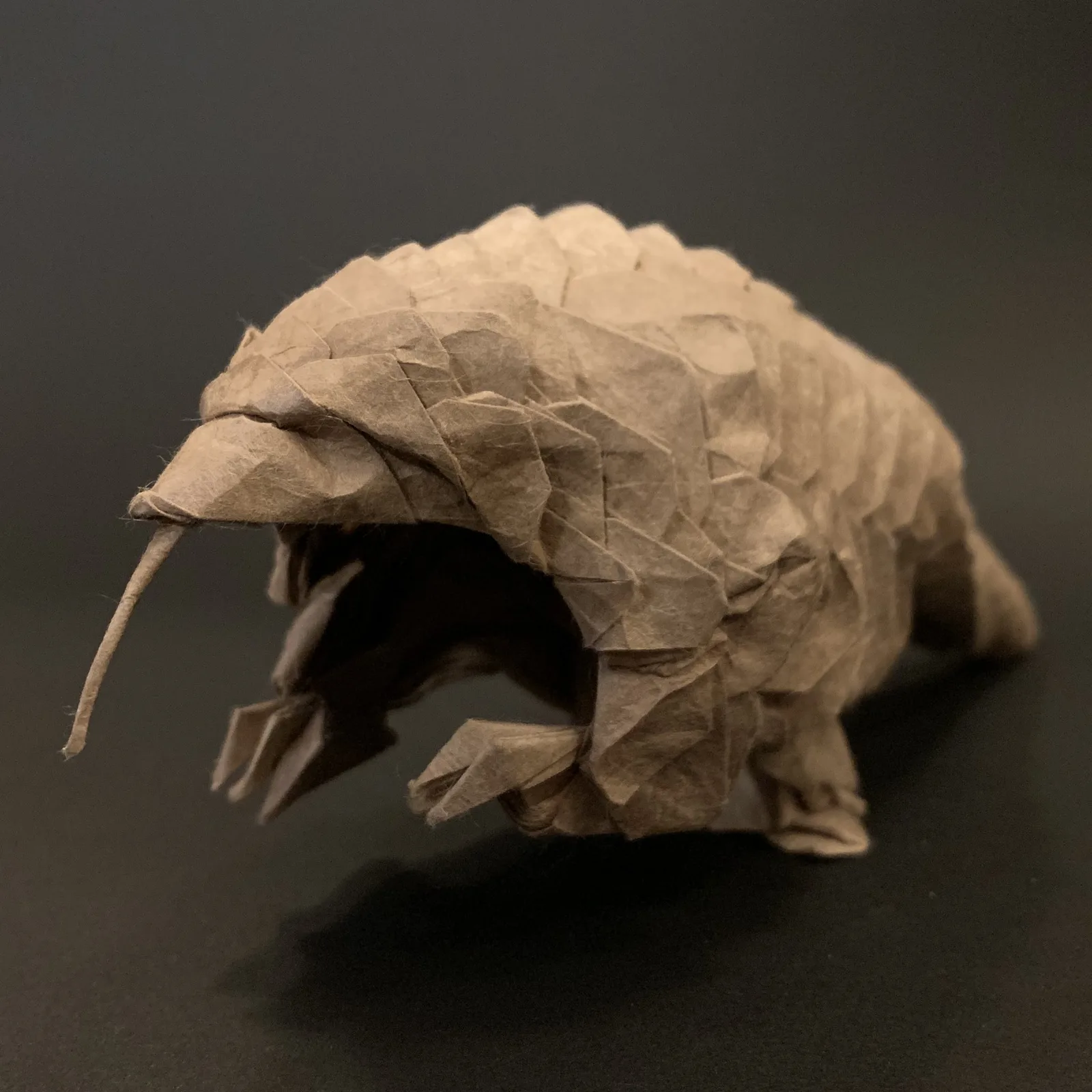 Giant Pangolin␠