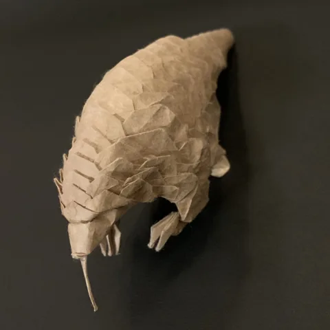 Giant Pangolin␠