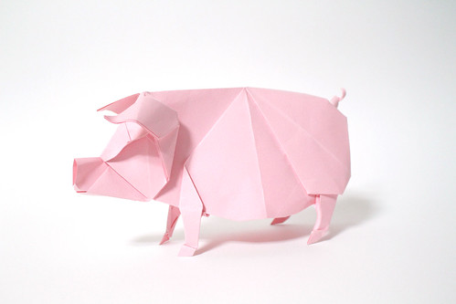 Pig