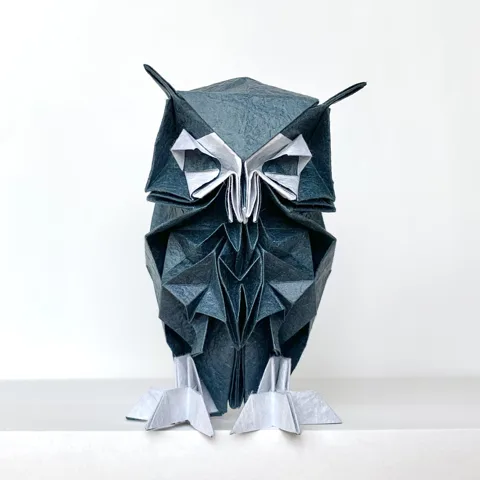 White Faced Owl