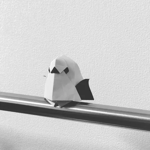 Tit (Bird)