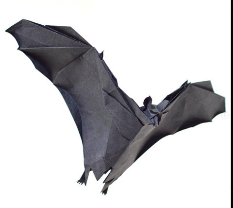 Flying fox