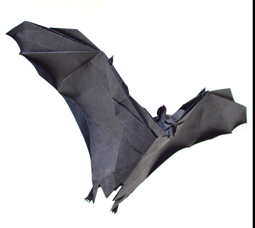 Flying fox