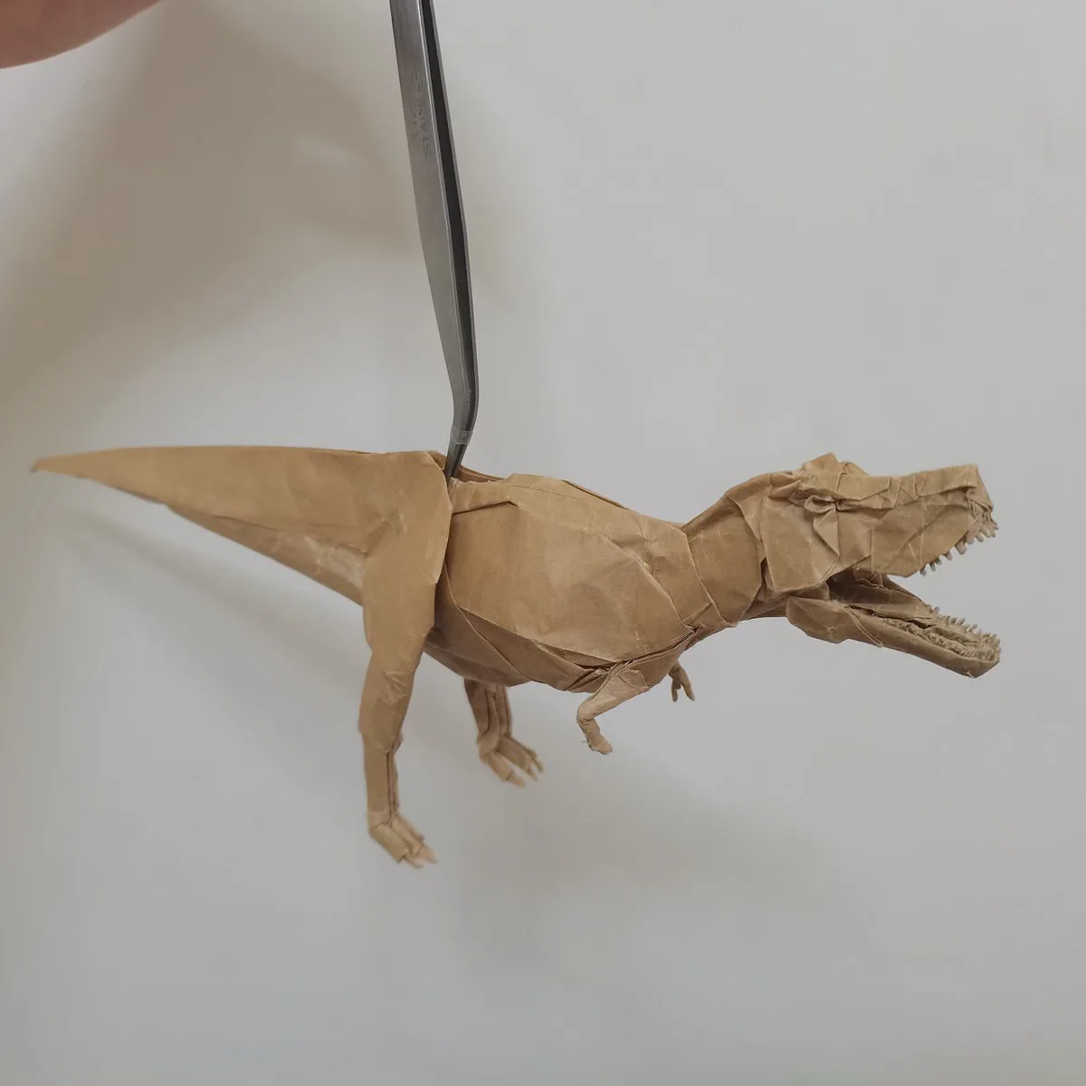 T. rex