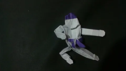 Karate Guy