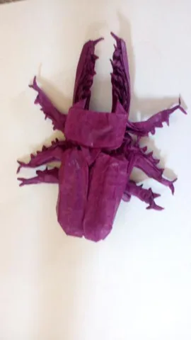 Spike beetle