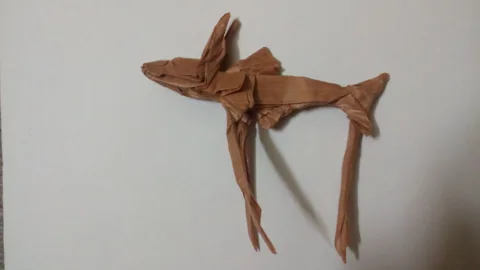 Tripod Fish