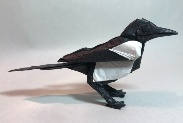Magpie
