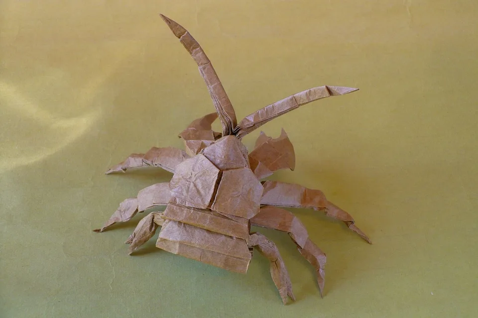 Coconut crab 1.0