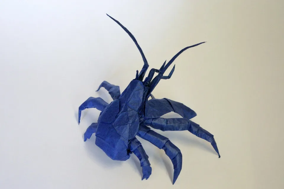 Coconut crab 2.0
