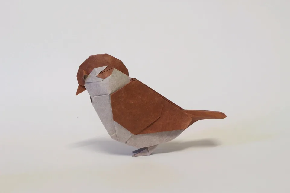 Tree sparrow (PD)