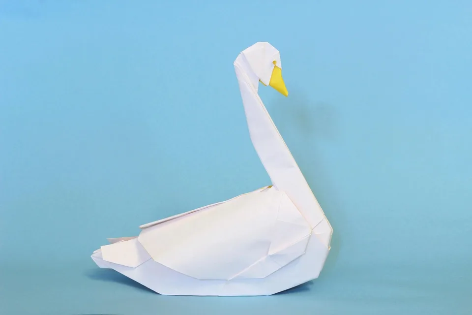 Tundra swan