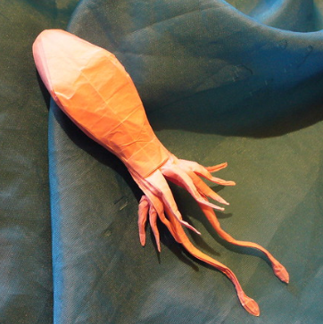 Squid