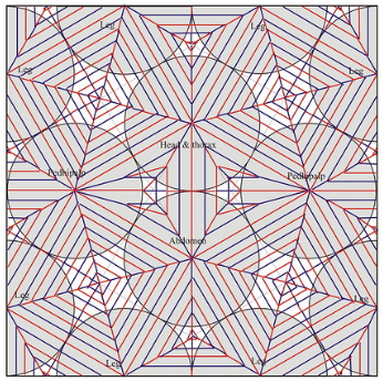 Tarantula — паттерн