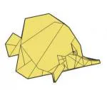 Butterfly fish