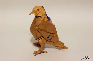 Blue-eyed Ground-dove