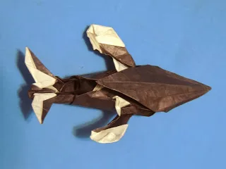 Humpback Whale