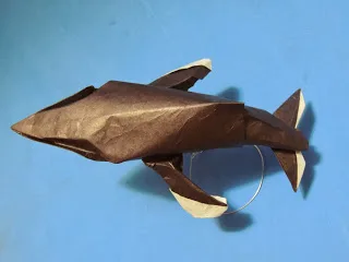 Humpback Whale