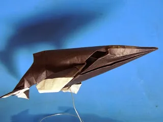 Humpback Whale