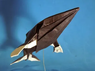 Humpback Whale