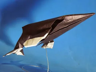 Humpback Whale
