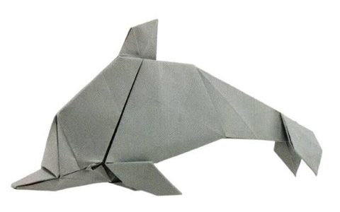 Dolphin