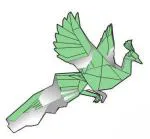 Peacock - flying