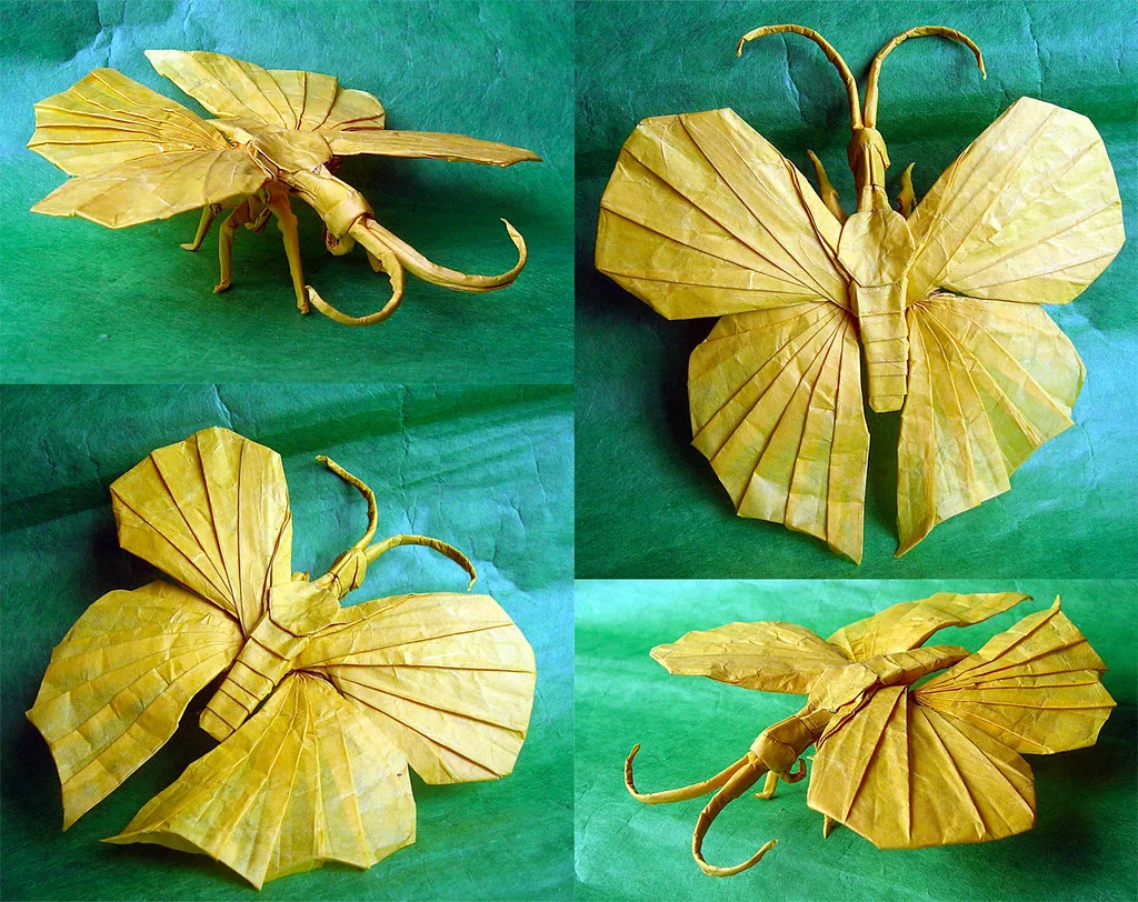 Butterfly