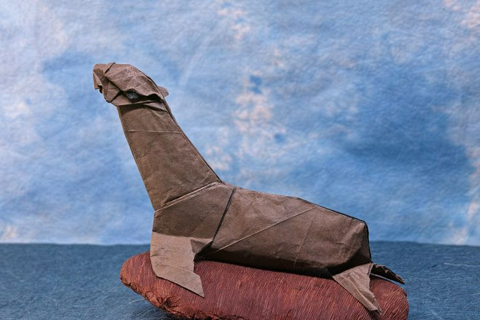 Fur seal