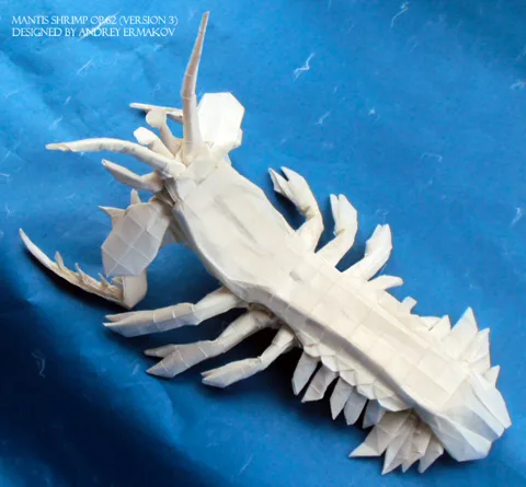 Shrimp