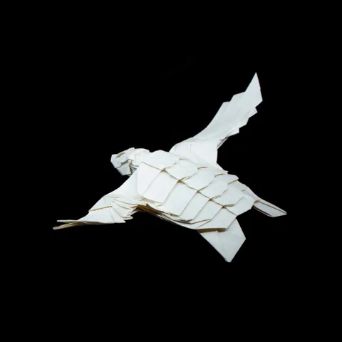 Flying Turtle (MIT IAT Origami Workshop) (Diagram)