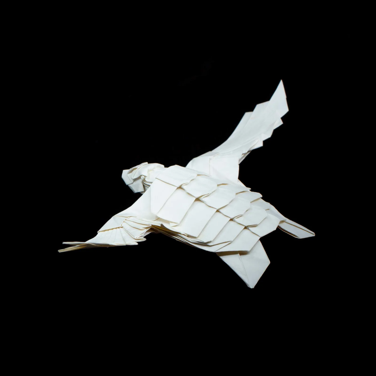 Flying Turtle (MIT IAT Origami Workshop) (Diagram)