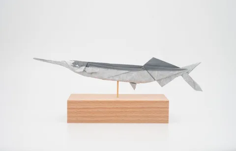 Anchovies (fish)
