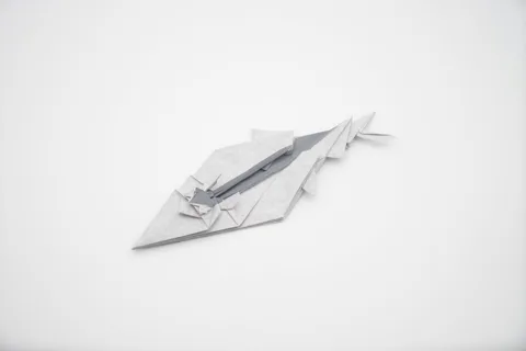 Anchovies (fish) — паттерн